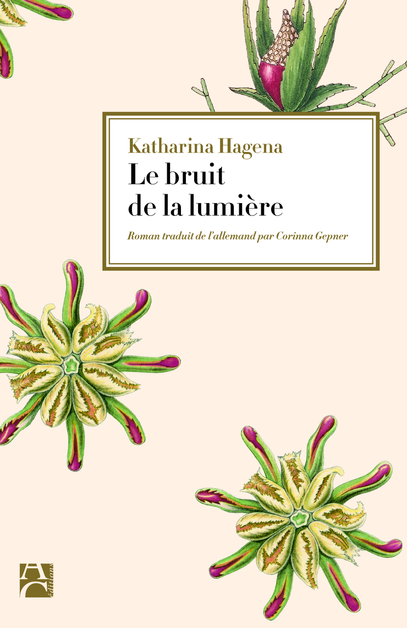 Le Bruit de la lumière Le Bruit de la lumière